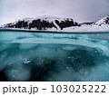 流氷半水面 103025222