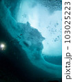 海中から見た流氷 103025223