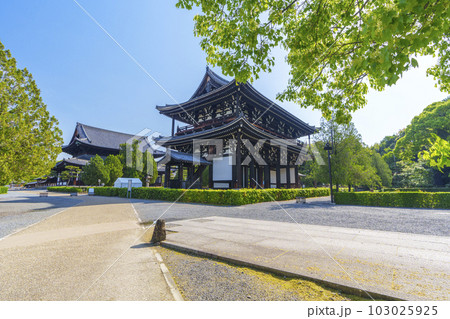 東福寺 三門と本堂(京都市東山区) 東福寺 三門と本堂(京都市東山区) 103025925