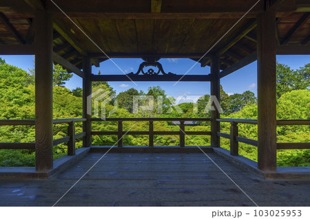 東福寺　通天橋からの眺め　新緑の季節（京都市東山区） 103025953
