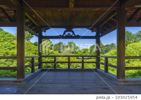 東福寺 通天橋からの眺め 新緑の季節(京都市東山区) 東福寺 通天橋からの眺め 新緑の季節(京都市東山区) 103025954