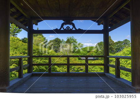 東福寺　通天橋からの眺め　新緑の季節（京都市東山区） 103025955