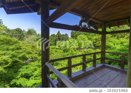 東福寺　通天橋からの眺め　新緑の季節（京都市東山区） 103025968