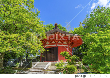 東福寺　愛染堂　新緑の庭園（京都市東山区） 103025989
