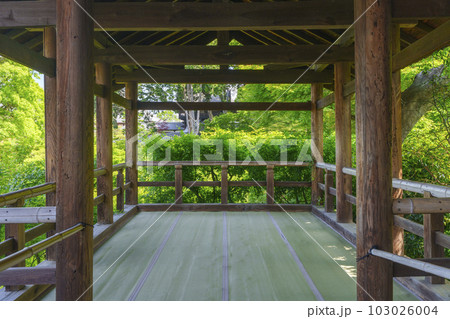 新緑の京都　東福寺　通天台 103026004