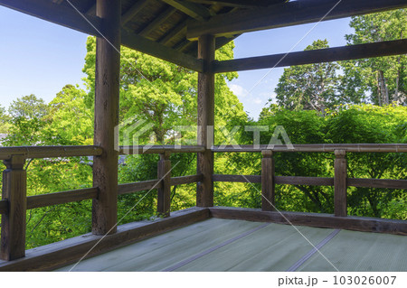 新緑の京都 東福寺 通天台 新緑の京都 東福寺 通天台 103026007