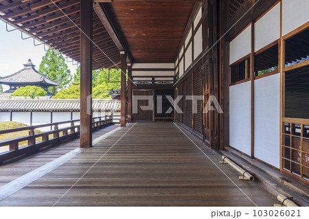東福寺 方丈 回廊 廊下 東福寺 方丈 回廊 廊下 103026021