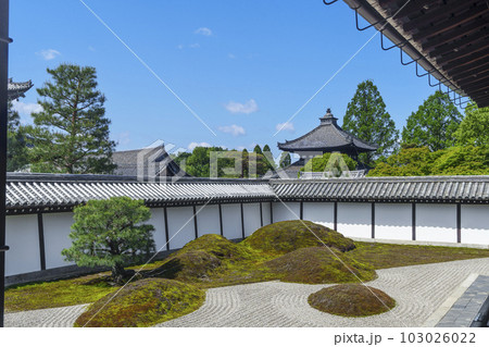 東福寺本坊庭園 八相の庭 南庭 東福寺本坊庭園 八相の庭 南庭 103026022
