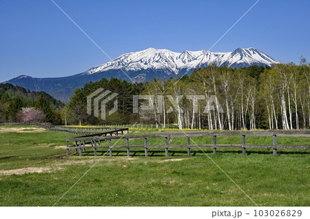 開田高原からの御嶽山 103026829