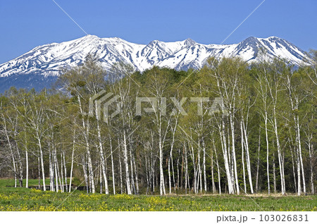 開田高原からの御嶽山 103026831