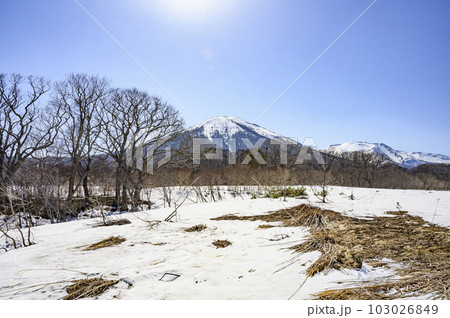 青森 八甲田山系雛岳 青森 八甲田山系雛岳 103026849