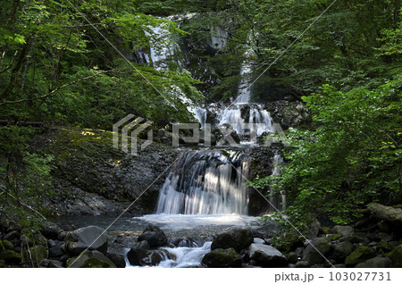 御嶽山油木美林のこもれびの滝 103027731