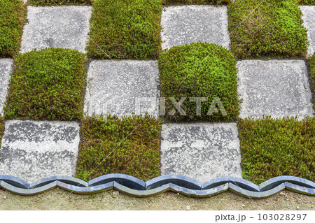 東福寺本坊庭園 八相の庭 北庭 小市松模様の庭園 東福寺本坊庭園 八相の庭 北庭 小市松模様の庭園 103028297