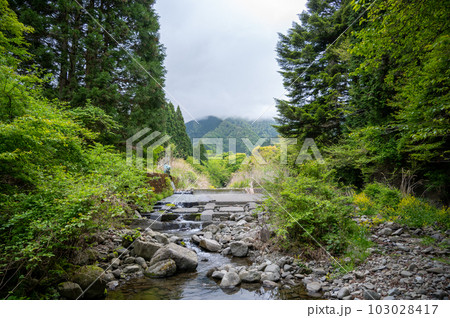 山の中 川 大自然 山の中 川 大自然 103028417