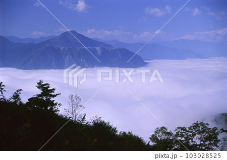 雲海に浮かぶ武甲山 103028525