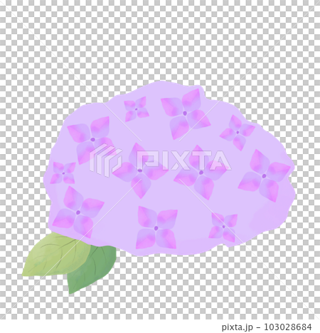 watercolor style purple hydrangea icon 103028684