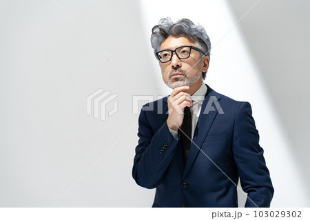 ビジネス シニア ビジネス シニア 103029302