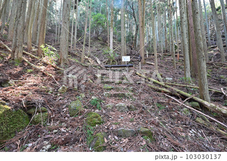 播磨国「白旗城」　曲輪と石垣跡や眺望 103030137