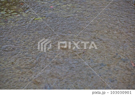 雨粒と波紋 103030901