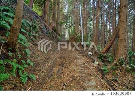 大和 龍王山城 北城と南城 曲輪や土塁群 大和 龍王山城 北城と南城 曲輪や土塁群 103030907