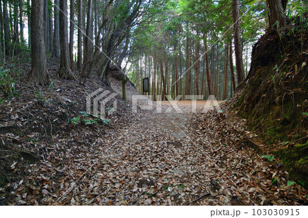 大和 龍王山城 北城と南城 曲輪や土塁群 大和 龍王山城 北城と南城 曲輪や土塁群 103030915
