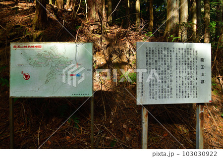 大和 龍王山城 北城と南城 曲輪や土塁群 大和 龍王山城 北城と南城 曲輪や土塁群 103030922