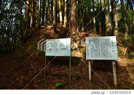 大和 龍王山城　北城と南城　曲輪や土塁群 103030924