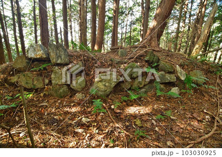 大和 龍王山城　北城と南城　曲輪や土塁群 103030925