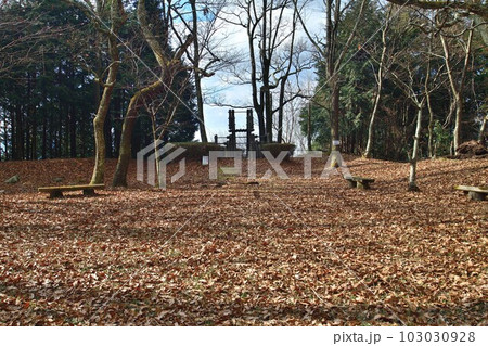 大和 龍王山城　北城と南城　曲輪や土塁群 103030928