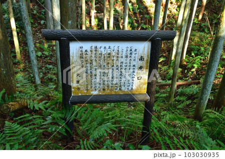 大和 龍王山城 北城と南城 曲輪や土塁群 大和 龍王山城 北城と南城 曲輪や土塁群 103030935