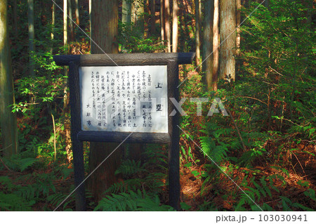 大和 龍王山城 北城と南城 曲輪や土塁群 大和 龍王山城 北城と南城 曲輪や土塁群 103030941