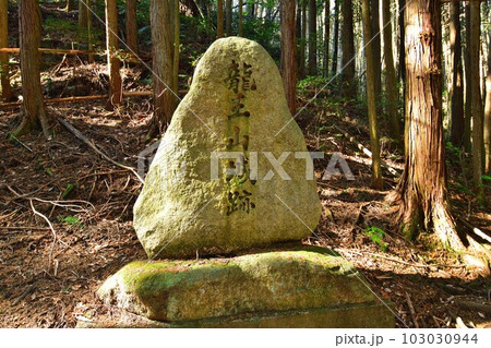 大和 龍王山城　北城と南城　曲輪や土塁群 103030944