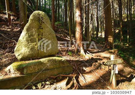 大和 龍王山城 北城と南城 曲輪や土塁群 大和 龍王山城 北城と南城 曲輪や土塁群 103030947