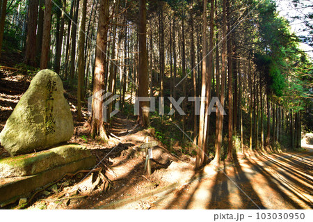 大和 龍王山城　北城と南城　曲輪や土塁群 103030950