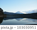 西湖根場浜 103030951