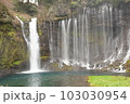白糸ノ滝 103030954