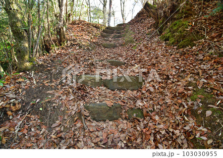 大和 龍王山城　北城と南城　曲輪や土塁群 103030955