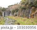 白糸ノ滝 103030956