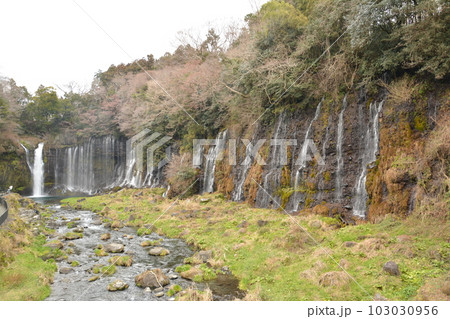 白糸ノ滝 103030956