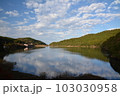 おしどりの池 103030958