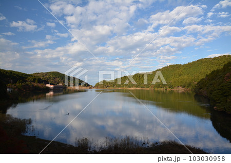 おしどりの池 103030958