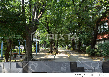 代々木上原・玉川上水旧水路大山緑道五條橋跡 代々木上原・玉川上水旧水路大山緑道五條橋跡 103031257