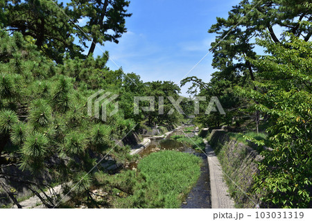 西宮・夙川のこほろぎ橋から大井手橋方面を望む 西宮・夙川のこほろぎ橋から大井手橋方面を望む 103031319
