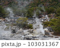 雲仙地獄 103031367