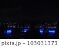 稲佐山山頂展望台　夜景 103031373
