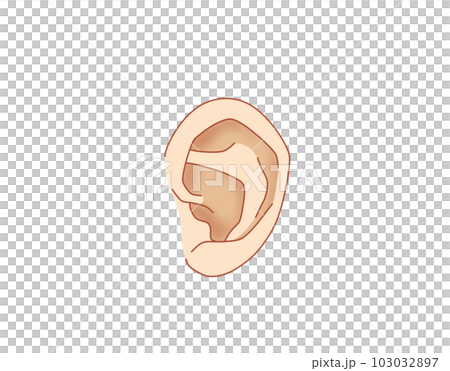 ear ear 103032897
