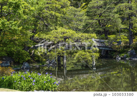 京都御所(2023年春)御池庭 京都御所(2023年春)御池庭 103033380