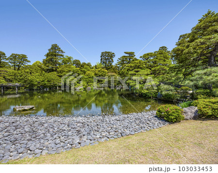 京都御所（2023年春）御池庭 103033453