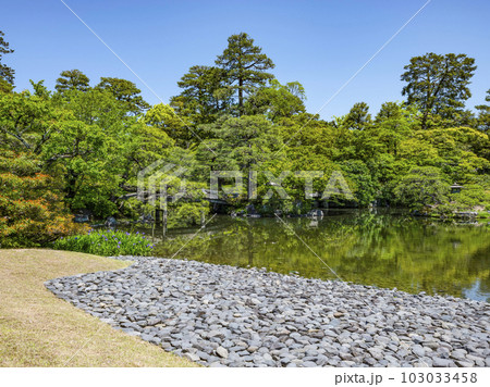 京都御所（2023年春）御池庭 103033458