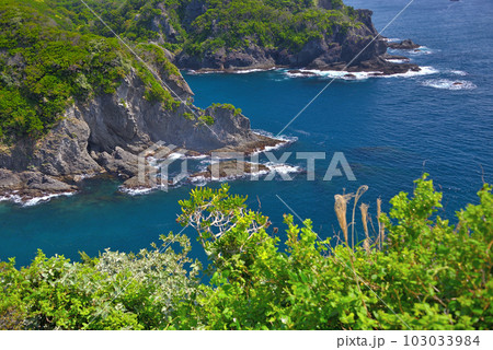 伊豆半島・南伊豆・石廊崎の風景、灯台から眺めるジオパークの日本らしい海岸風景・静岡県南伊豆町(3) 103033984